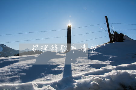 护理辞职申请书