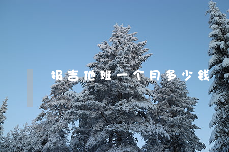 报吉他班一个月多少钱