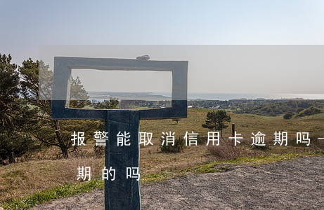 报警能取消信用卡逾期吗-有处理信用卡逾期的吗