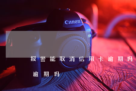 报警能取消信用卡逾期吗(报警能取消信用卡逾期吗)