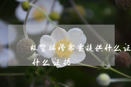 报警骗婚需要提供什么证据(骗婚诈骗罪需要什么证据)