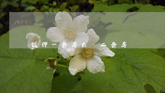 抵押一套房去買二套房
