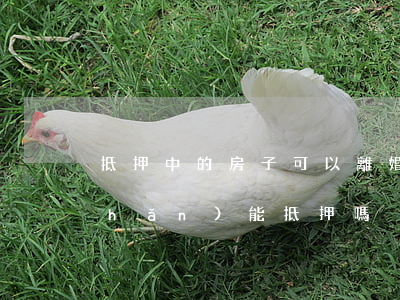 抵押中的房子可以離婚嗎(離婚后的房產(chǎn)能抵押嗎)
