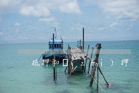 抵押和質(zhì)押