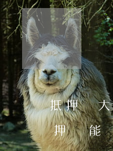 抵押帶大本的車能過戶嗎（車子已經抵押了抵押車能過戶嗎）