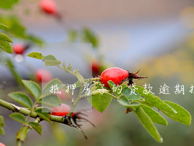 抵押房子的贷款逾期(抵押贷款 逾期)