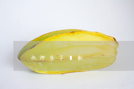 抵押房子貸款