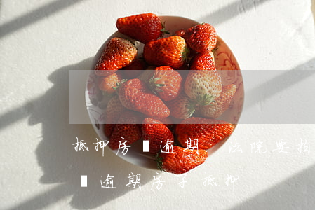 抵押房貸逾期.法院要拍賣我的唯一住房（首筆逾期房子抵押）