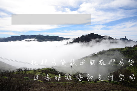 抵押房贷款逾期 抵押房贷款逾期冻结银行卡还冻结微信和支付宝吗