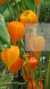 抵押担保物不够偿还债务怎么办