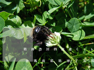 抵押查封的房產(chǎn)可以做訴訟保全嗎(房屋抵押了法院可以查封嗎)