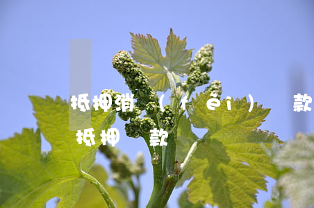 抵押消費(fèi)貸款(消費(fèi)性抵押貸款)