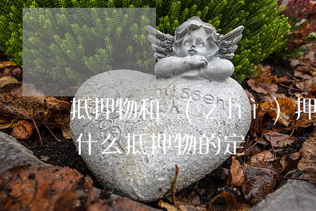 抵押物和質(zhì)押物區(qū)別是什么（抵押物的定義）