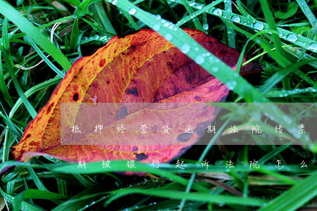 抵押经营贷逾期法院传票怎么办(房产抵押逾期被银行起诉法院怎么办)