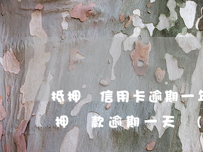 抵押貸信用卡逾期一年(房產(chǎn)抵押貸款逾期一天會(huì)影響信用嗎)
