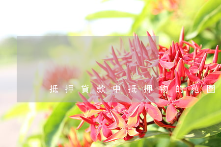 抵押貸款中抵押物的范圍有哪些