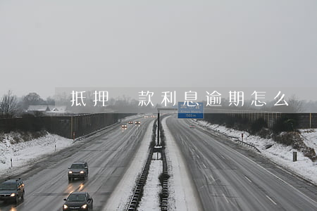 抵押貸款利息逾期怎么辦(抵押逾期怎么處理)