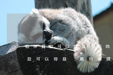 抵押貸款可以停息掛賬的申請流程-抵押貸款可以停息掛賬的申請流程是什么