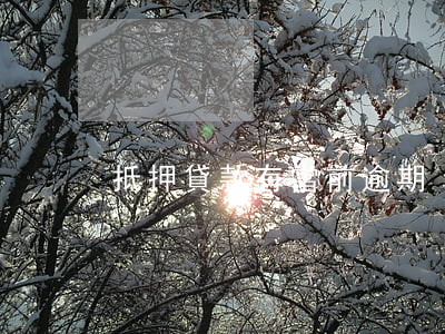 抵押貸款有當前逾期
