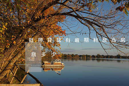 抵押貸款有逾期利息高(房子抵押貸款逾期罰息多少)
