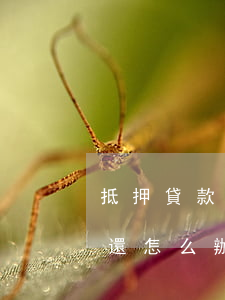 抵押貸款欠銀行幾十萬確實(shí)沒錢還怎么辦-抵押貸款欠銀行幾十萬確實(shí)沒錢還怎么辦呢