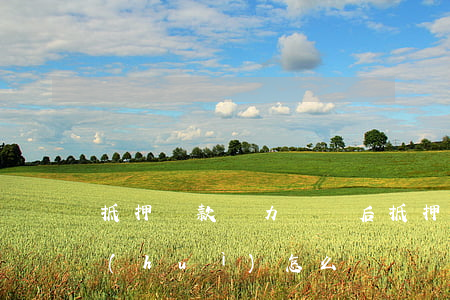 抵押貸款無力償還后(抵押貸款無力償還后會(huì)怎么樣)