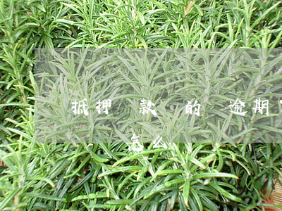 抵押貸款買的車逾期了(按揭車抵押了逾期不還會怎么辦)