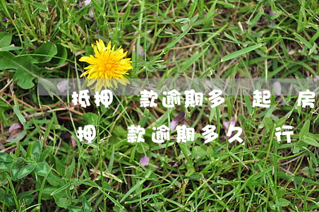 抵押貸款逾期多長起訴(房產(chǎn)抵押貸款逾期多久銀行會起訴)