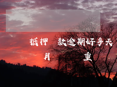 抵押貸款逾期好多天了(房子抵押貸款逾期一個月問題嚴重嗎)