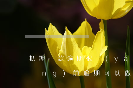抵押貸款逾期很嚴(yán)重嗎(有當(dāng)前逾期可以做抵押貸款嗎)