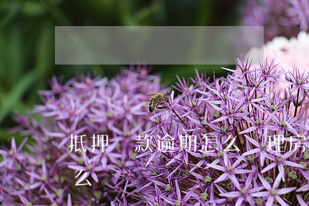 抵押貸款逾期怎么處理(房屋抵押貸款逾期怎么辦)
