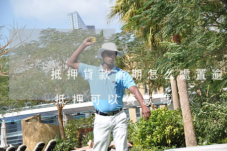 抵押貸款逾期怎么處置(逾期嚴(yán)重,抵押可以貸款嗎)