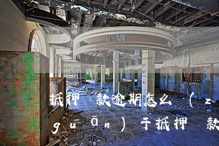 抵押貸款逾期怎么轉(zhuǎn)貸(關(guān)于抵押貸款逾期的法律)