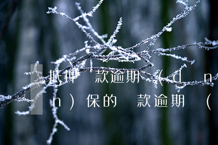 抵押貸款逾期擔(dān)保人-擔(dān)保的貸款逾期,擔(dān)保人能貸款嗎