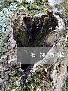 抵押貸款逾期會(huì)被限高嗎(關(guān)于抵押貸款逾期的法律)