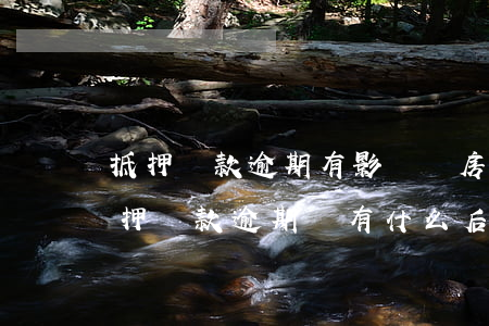 抵押貸款逾期有影響嗎(房產(chǎn)抵押貸款逾期會有什么后果)