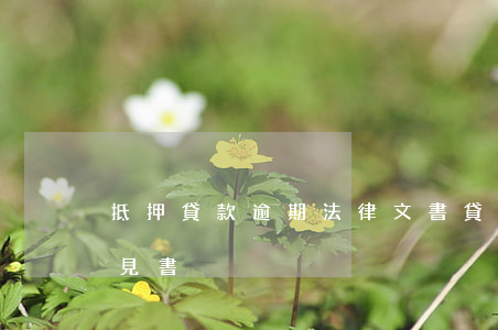 抵押貸款逾期法律文書(貸款逾期出具法律意見書)