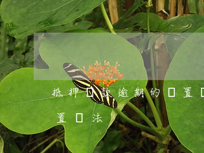 抵押貸款逾期的處置(銀行逾期貸款抵押物處置辦法)