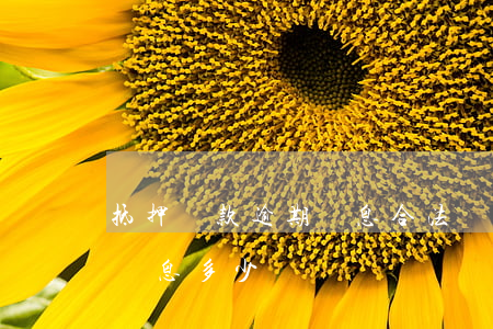 抵押貸款逾期罰息合法嗎(房子抵押貸款逾期罰息多少)