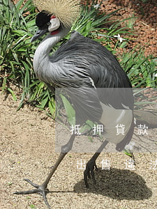 抵押貸款逾期變賣抵押物(抵押物在抵押期間出售違法嗎)