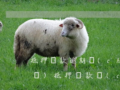 抵押貸款逾期車(chē)被收走(車(chē)抵押貸款車(chē)被收走了)
