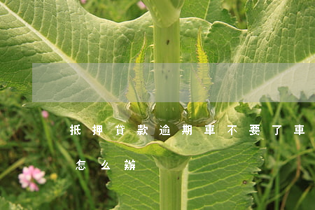 抵押貸款逾期車不要了(車子抵押貸款逾期了怎么辦)