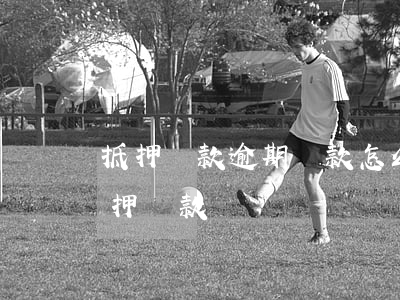 抵押貸款逾期還款怎么辦(有逾期可以辦理抵押貸款嗎)