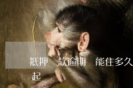 抵押貸款逾期還能住多久(房貸逾期多久會被起訴)