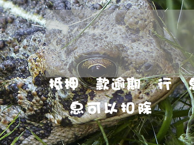 抵押貸款逾期銀行罰息(逾期歸還銀行貸款的罰息可以扣除嗎)