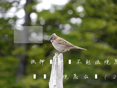 抵押貸款還不起法院怎么處理(抵押貸款無力償還法院怎么執(zhí)行)