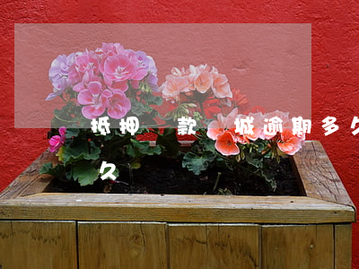 抵押貸款錦城逾期多久(抵押貸款錦城逾期多久)