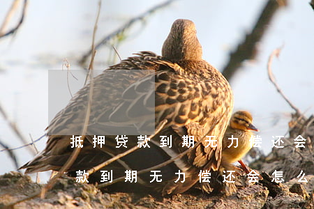 抵押贷款到期无力偿还会怎么处置-抵押贷款到期无力偿还会怎么处置呢