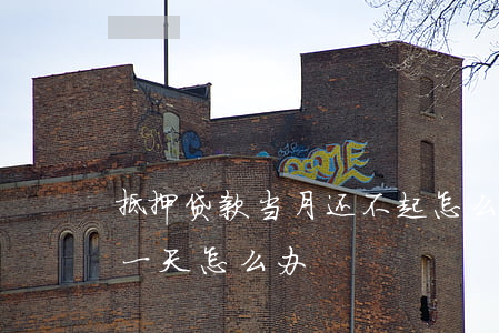 抵押贷款当月还不起怎么办(抵押还贷款晚了一天怎么办)