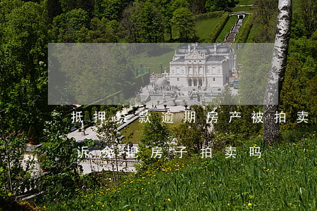 抵押贷款逾期房产被拍卖(房贷逾期半年被起诉会把房子拍卖吗)